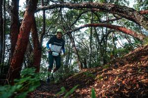 BIB: 
                            <button type="button" onclick="openModal(26344973)" class="btn btn-primary btn-sm float-right btn-popup" data-toggle="modal" data-target=".modal-high-quality">
                        <i class="fas fa-shopping-cart"></i> Add to Cart
                    </button>
                                            <button type="button" onclick="isThisMe(26344973, true)" class="btn btn-success btn-sm float-right btn-popup btn-isme hidden" data-toggle="tooltip" data-placement="bottom" title="นี่คือรูปของคุณใช่ไหม คลิกที่นี่เพื่อเอาเข้าอัลบั้ม">
                        <i class="fas fa-plus"></i> Add to album
                    </button>
                    <button type="button" onclick="isThisMe(26344973, false)" class="btn btn-warning btn-sm float-right btn-popup btn-isnotme hidden">
                        <i class="fas fa-ban"></i> Remove from album
                    </button>